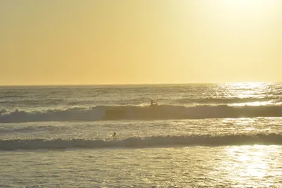 DSC_7277 (Large).JPG